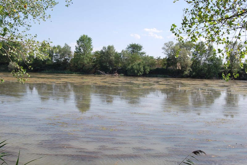 Serias amenazas para el remo navarro